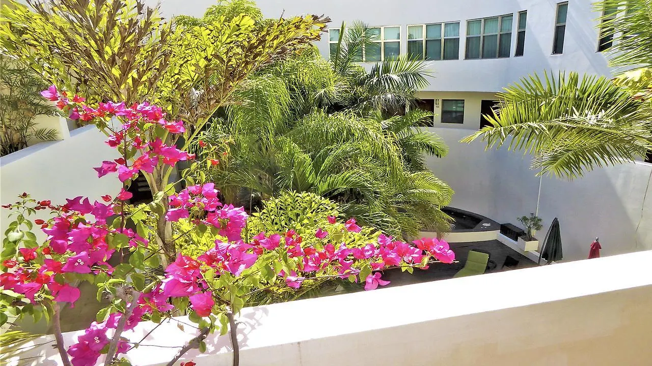 Royal Oasis Condo Cote Playa del Carmen Apartment